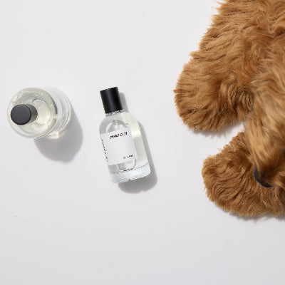 Harlow Harry L'hermitage 37 dog perfume - spicy and leathery pet fragrance for dogs