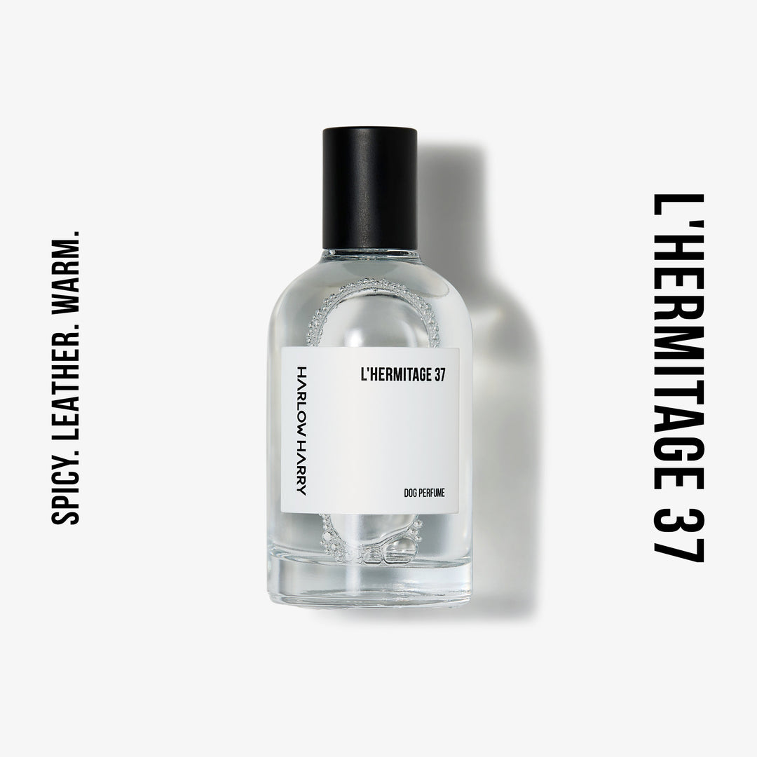 Dog Perfume | The Pair 3.0