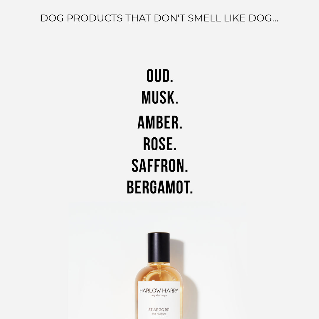 Dog Perfume | St Argo 191