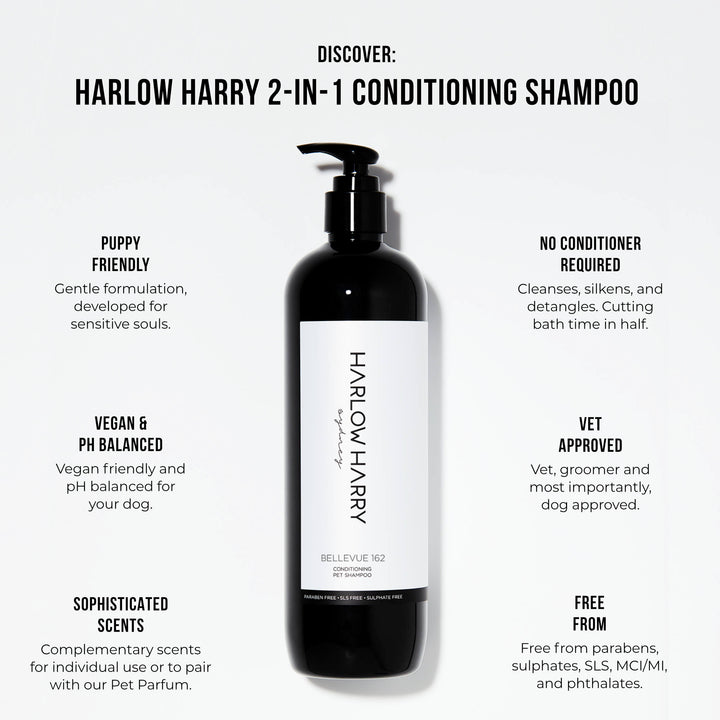 Conditioning Shampoo | Bellevue 162