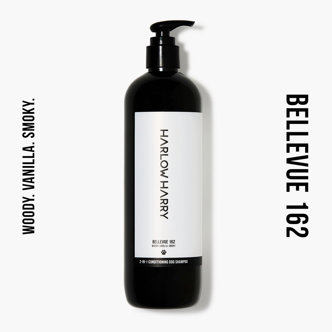 Conditioning Shampoo | Bellevue 162