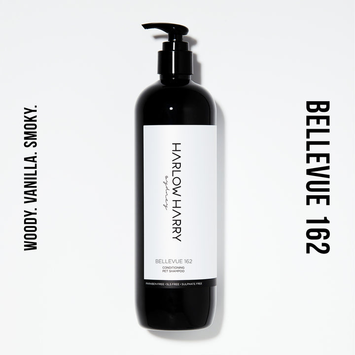 Conditioning Shampoo | Bellevue 162