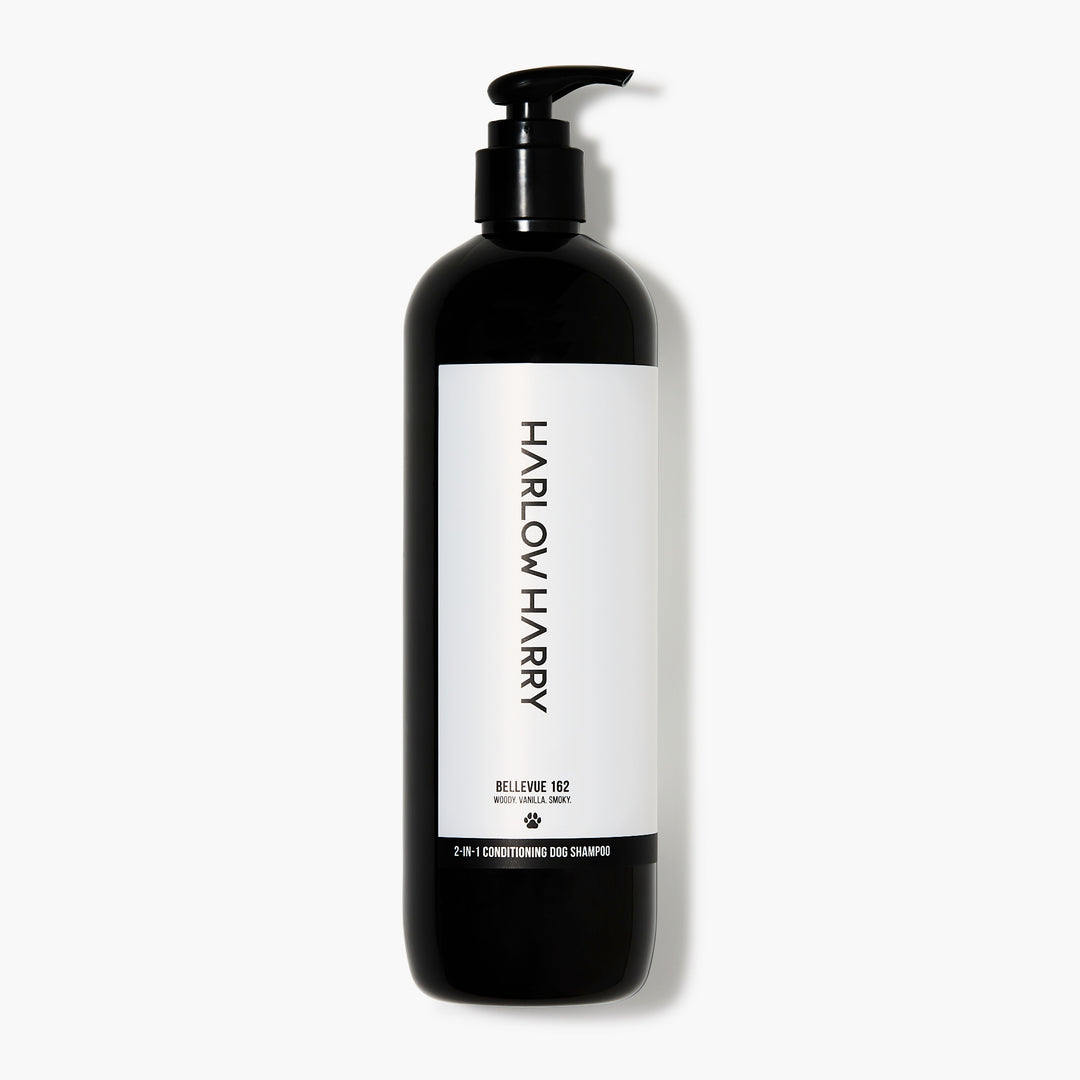 Conditioning Shampoo | Bellevue 162