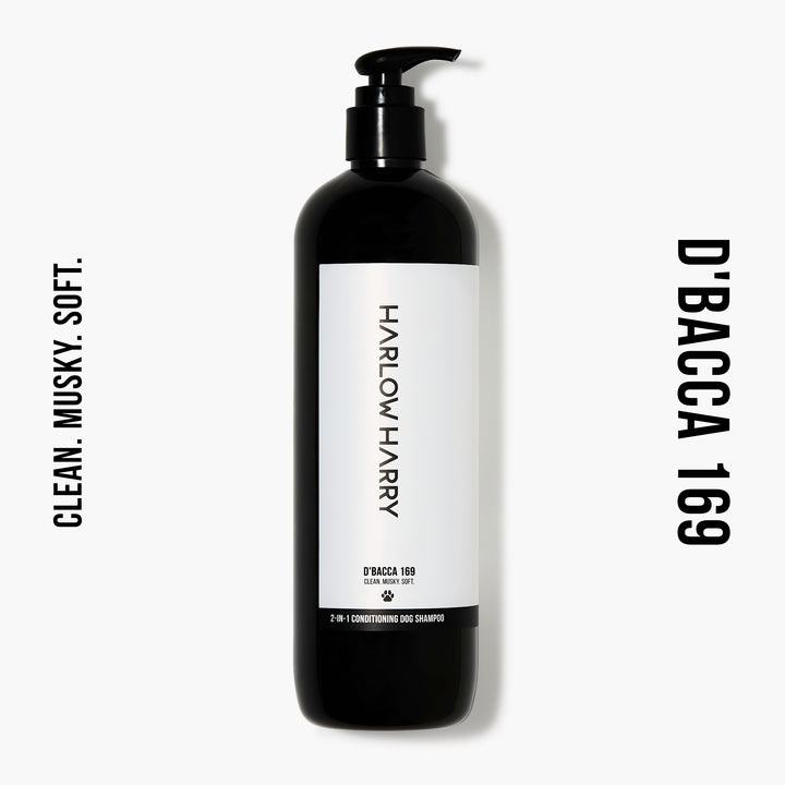 Conditioning Shampoo | D'bacca 169