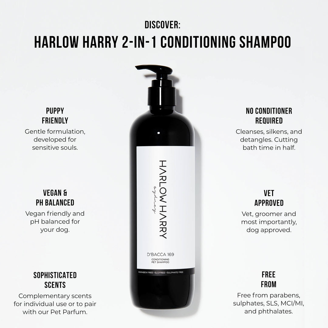 Conditioning Shampoo | D'bacca 169