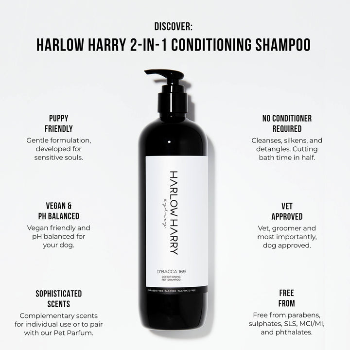 Conditioning Shampoo | D'bacca 169