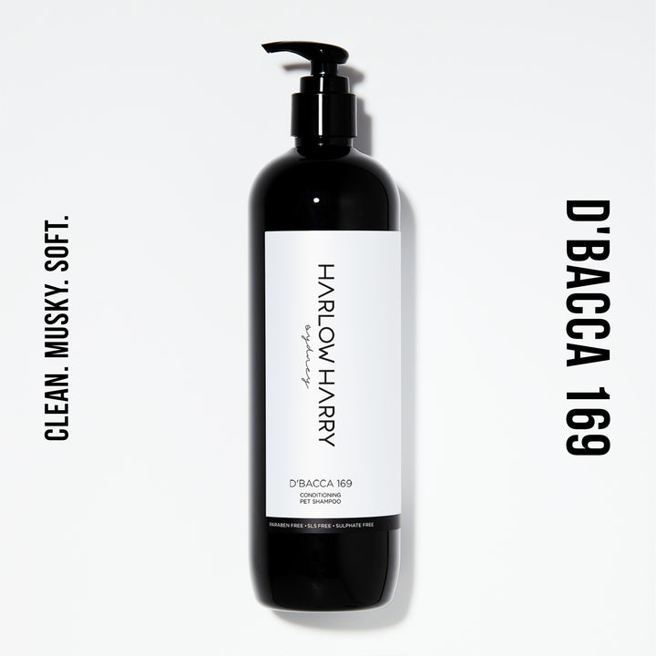 Conditioning Shampoo | D'bacca 169