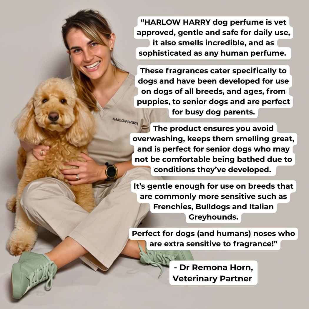 Dog Perfume | The Pair 3.0