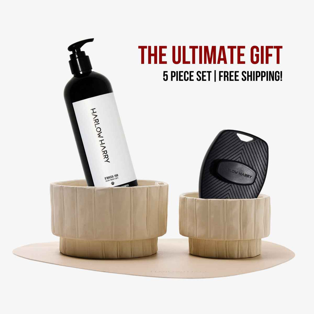 Bath, Brush & Bowl Bundle | PRE-ORDER