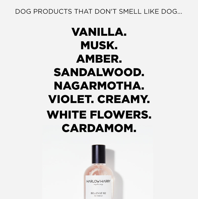 Dog Perfume | Bellevue 162
