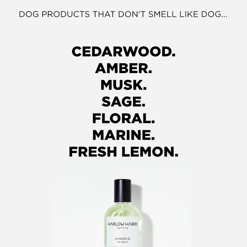 Dog Perfume | Hunter 33