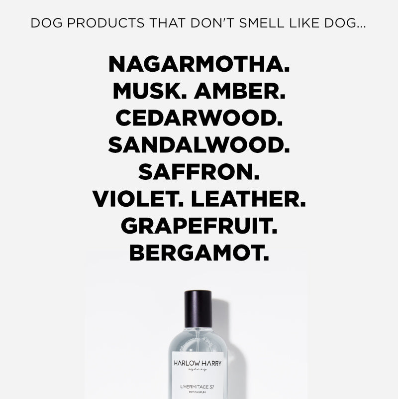 Dog Perfume | L'hermitage 37