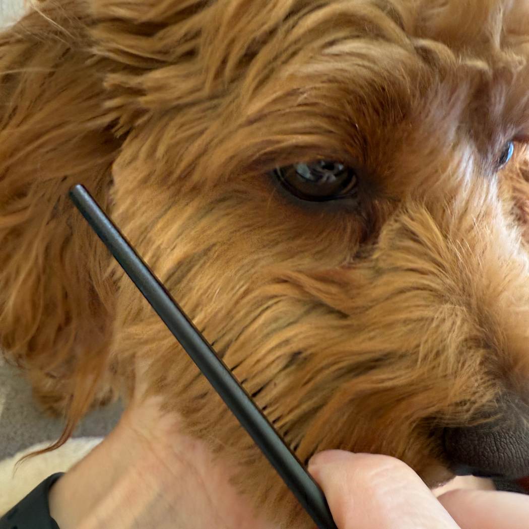 Curved dog comb for undercoat care and fluffing the face person combing dog's face
