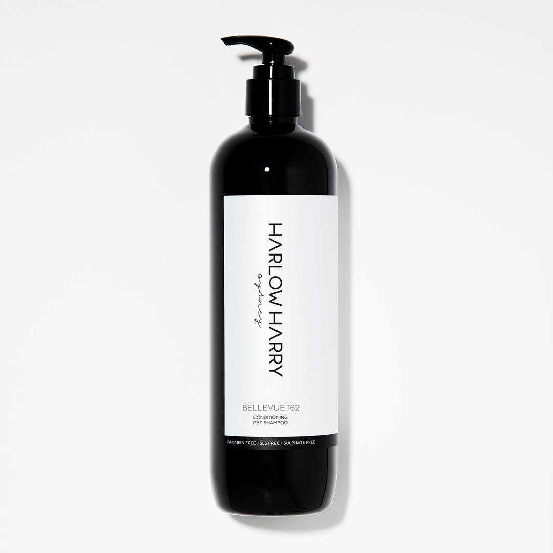 Conditioning Shampoo | Bellevue 162